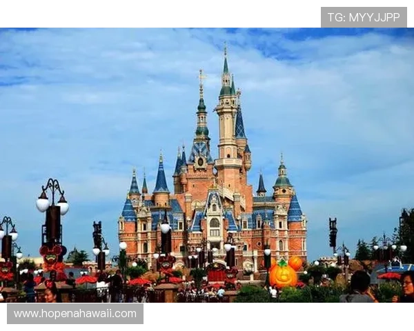 288体育：多元化体育社区互动平台让体育爱好者畅所欲言交流心得