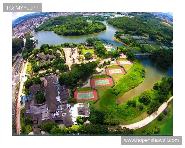 GMT8体育：打造多元化体育内容生态的创新发展平台