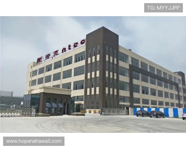 乐投控股有限公司：引领行业发展的创新型企业未来发展战略分析