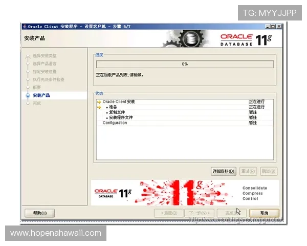 乐投登录：详细步骤帮助新手用户顺利完成登录操作